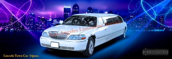 14 Pass. Lincoln Limousine